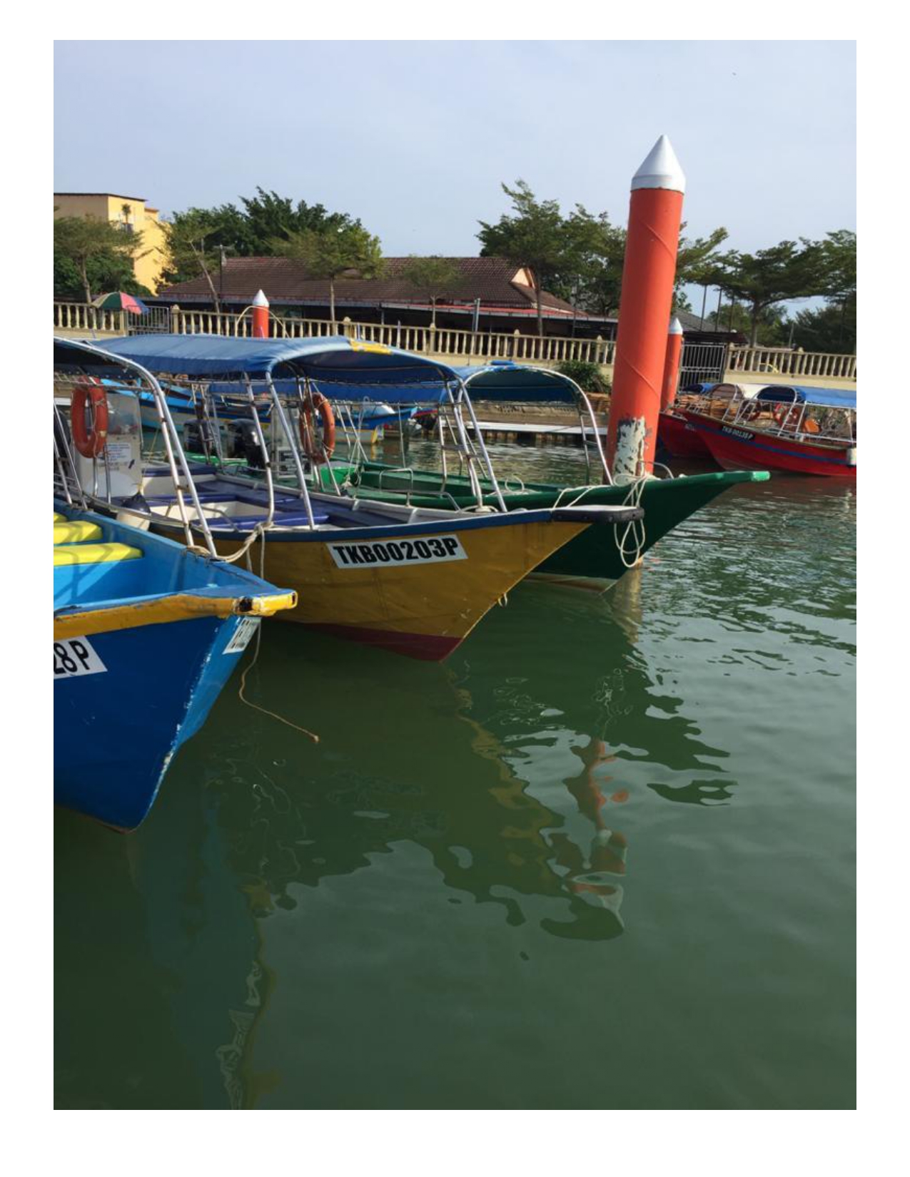 Boat Charter